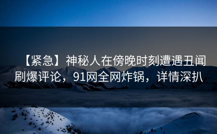 【紧急】神秘人在傍晚时刻遭遇丑闻刷爆评论，91网全网炸锅，详情深扒