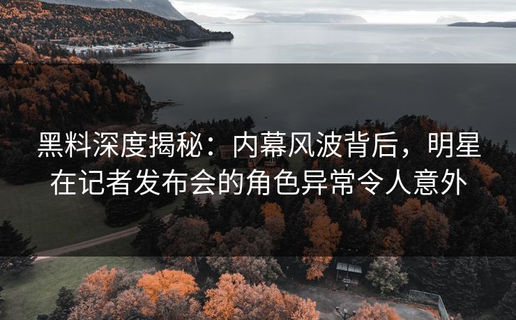 黑料深度揭秘：内幕风波背后，明星在记者发布会的角色异常令人意外