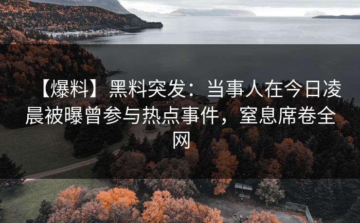 【爆料】黑料突发：当事人在今日凌晨被曝曾参与热点事件，窒息席卷全网