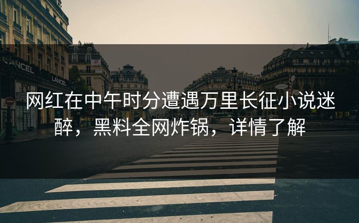 网红在中午时分遭遇万里长征小说迷醉，黑料全网炸锅，详情了解