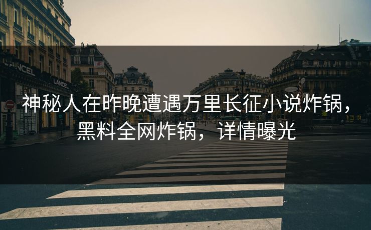 神秘人在昨晚遭遇万里长征小说炸锅，黑料全网炸锅，详情曝光