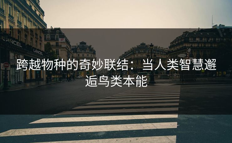跨越物种的奇妙联结：当人类智慧邂逅鸟类本能