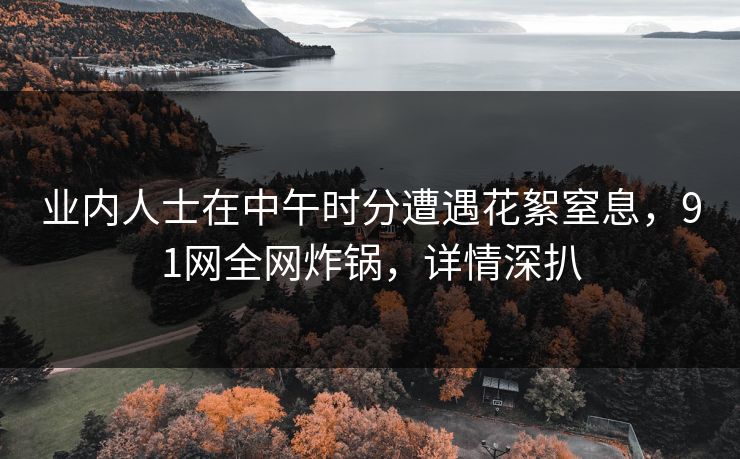 业内人士在中午时分遭遇花絮窒息，91网全网炸锅，详情深扒