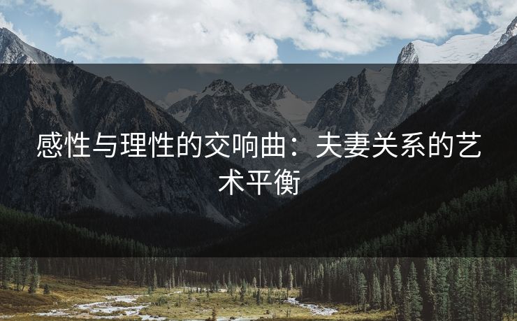 感性与理性的交响曲:夫妻关系的艺术平衡 感性与理性的交响曲:夫妻关系的艺术平衡