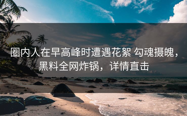 圈内人在早高峰时遭遇花絮 勾魂摄魄,黑料全网炸锅,详情直击