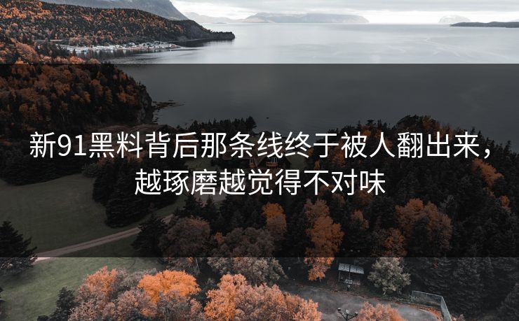 新91黑料背后那条线终于被人翻出来，越琢磨越觉得不对味